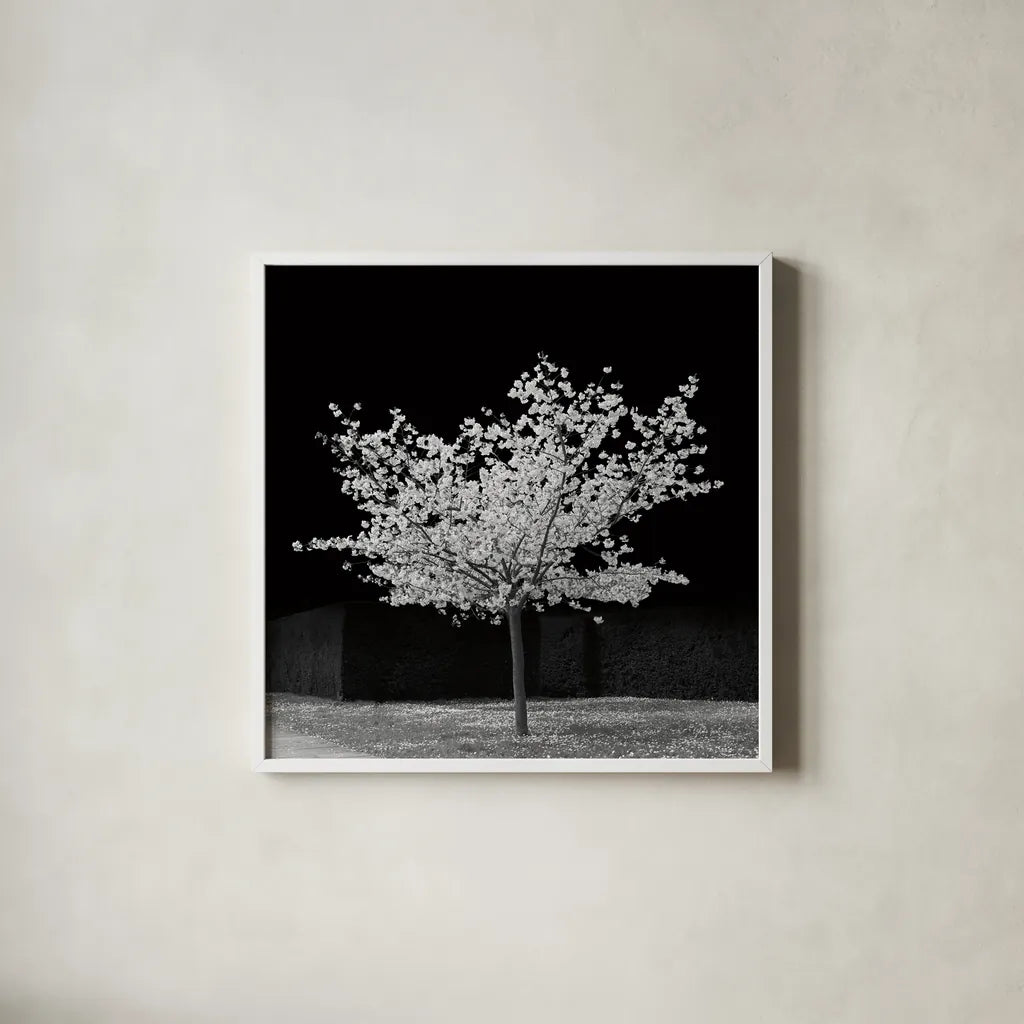 The Blossom Tree by Deborah Revell. Shown in a crisp white glass frame for a clean and minimalist style. Available as an archival giclee rolled canvas, fine art paper, or poster print. SKU 94577a.