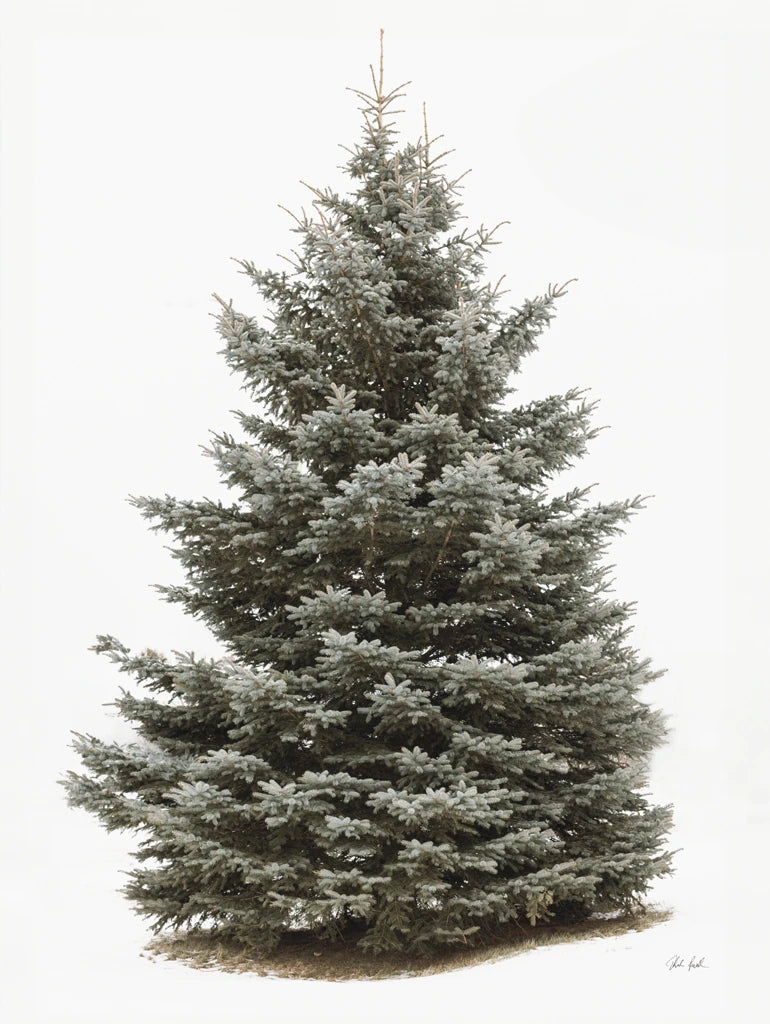 The Christmas Tree by Deborah Revell