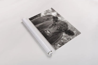 The Cow by Deborah Revell. shown as a rolled paper print. Available as archival giclee rolled canvas, fine art paper, or poster print. SKU 94287i.