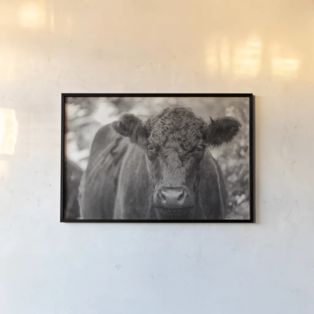 The Cow by Deborah Revell. shown as a paper print in a black flame. Available as a archival giclee rolled canvas, fine art paper, or poster print. SKU 94287i.