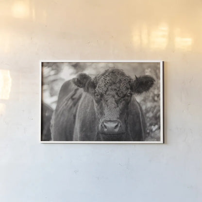 The Cow by Deborah Revell. shown as a paper print in a white frame. Available as a archival giclee rolled canvas, fine art paper, or poster print. SKU 94287i.