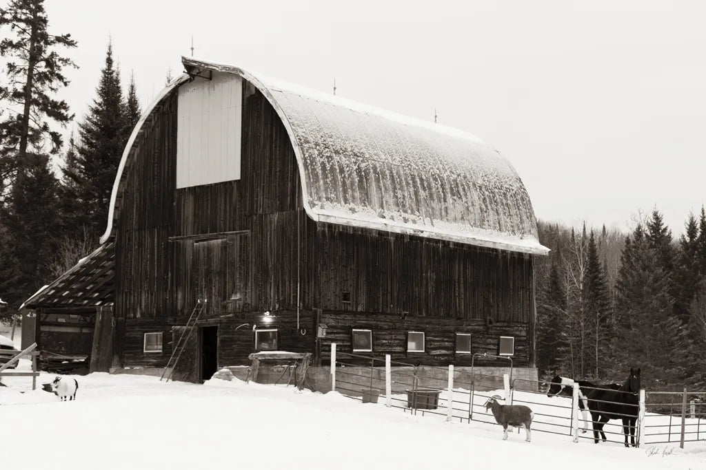 The Farm by Deborah Revell. SKU 96615i. Archival Giclee Fine art print for wall decor.