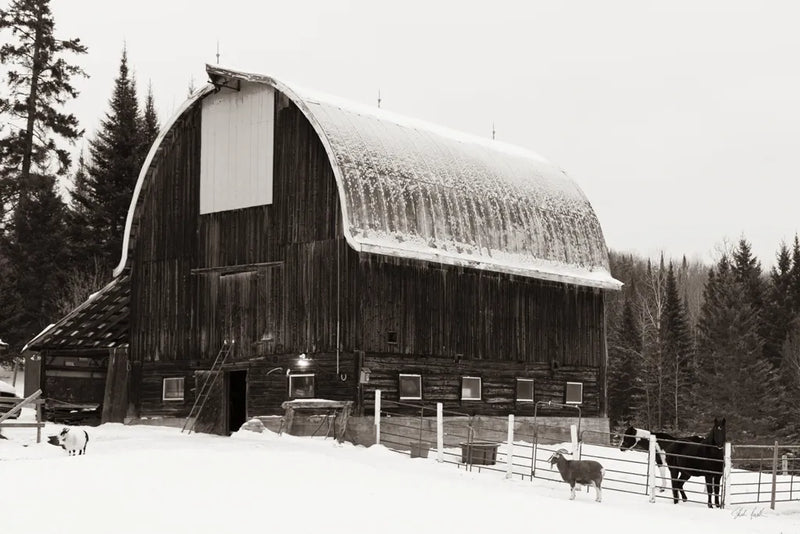 The Farm by Deborah Revell. SKU 96615i. Archival Giclee Fine art print for wall decor.