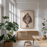 The Flounder by Deborah Revell. shown as a print in a natural wood frame in a dining room. Available as a archival giclee rolled canvas, fine art paper, or poster print. SKU 95765h.