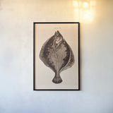 The Flounder by Deborah Revell. shown as a paper print in a black flame. Available as a archival giclee rolled canvas, fine art paper, or poster print. SKU 95765h.