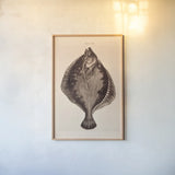 The Flounder by Deborah Revell. shown as a paper print in a natural frame. Available as a archival giclee rolled canvas, fine art paper, or poster print. SKU 95765h.