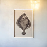 The Flounder by Deborah Revell. shown as a paper print in a white frame. Available as a archival giclee rolled canvas, fine art paper, or poster print. SKU 95765h.