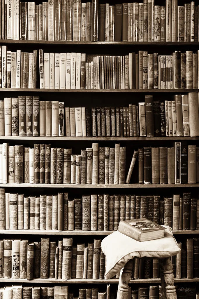 The Library by Deborah Revell. SKU 96927h. Archival Giclee Fine art print for wall decor.