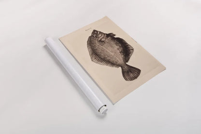 The Plaice by Deborah Revell. shown as a rolled paper print. Available as archival giclee rolled canvas, fine art paper, or poster print. SKU 95766h.