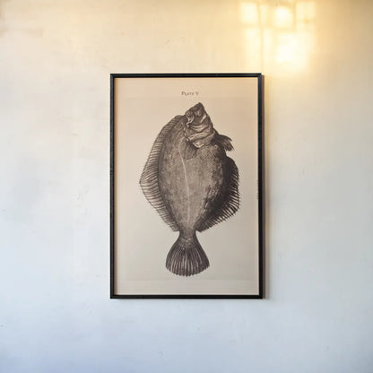 The Plaice by Deborah Revell. shown as a paper print in a black flame. Available as a archival giclee rolled canvas, fine art paper, or poster print. SKU 95766h.