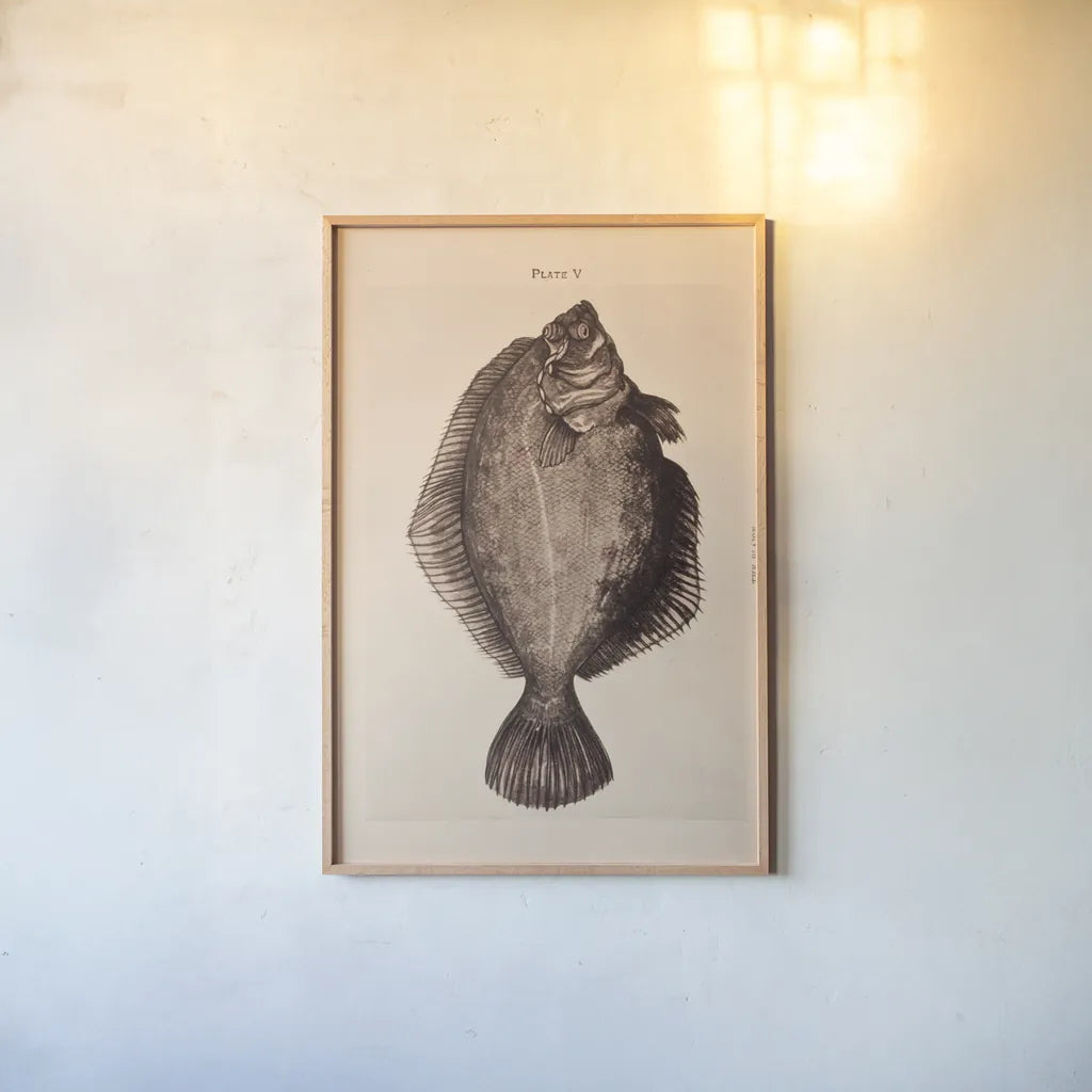 The Plaice by Deborah Revell. shown as a paper print in a natural frame. Available as a archival giclee rolled canvas, fine art paper, or poster print. SKU 95766h.