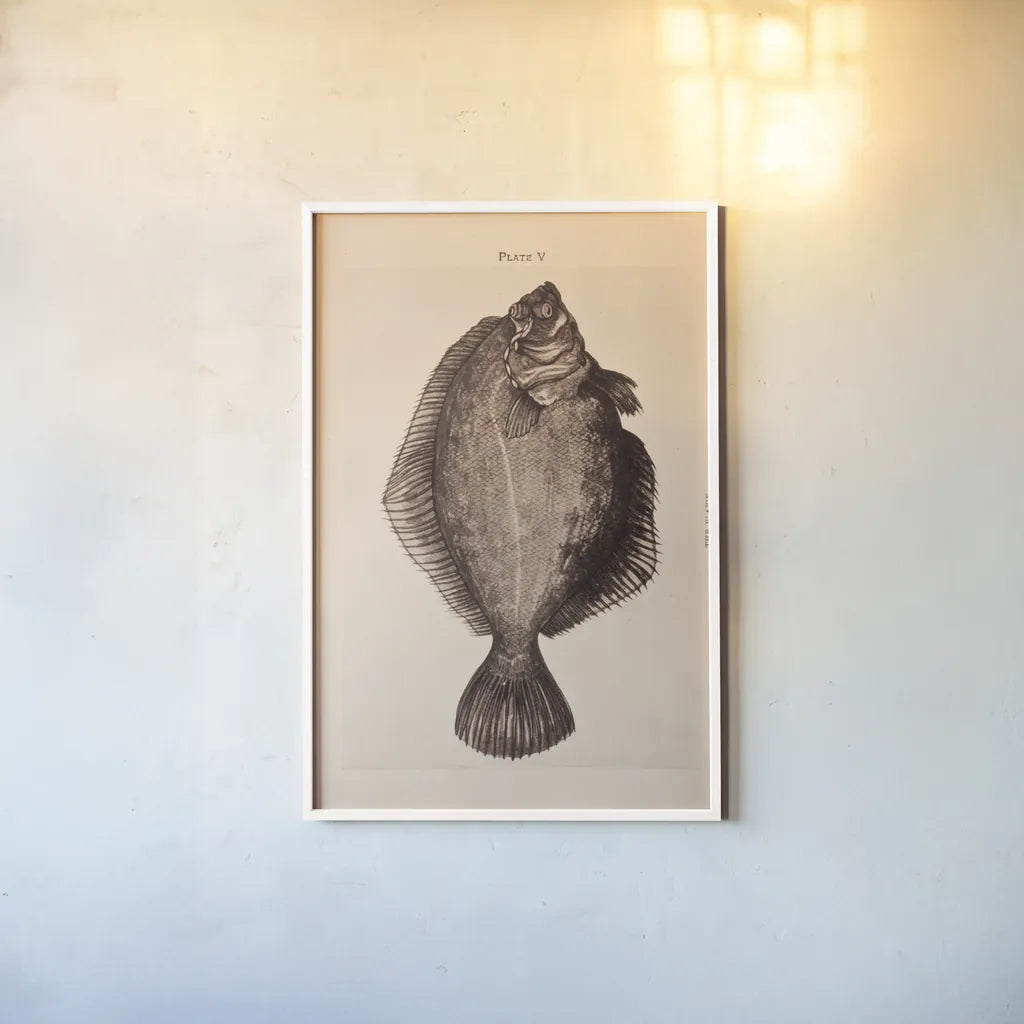 The Plaice by Deborah Revell. shown as a paper print in a white frame. Available as a archival giclee rolled canvas, fine art paper, or poster print. SKU 95766h.