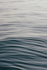 The Silent Sea I by Deborah Revell. SKU 100987h. Archival Giclee Fine art print for wall decor.