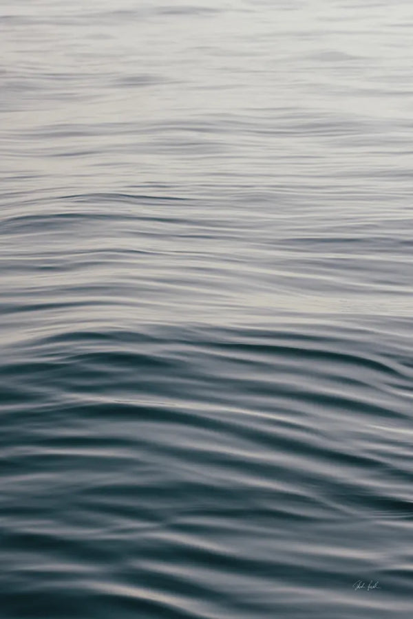 The Silent Sea I by Deborah Revell. SKU 100987h. Archival Giclee Fine art print for wall decor.