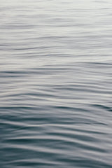The Silent Sea IV by Deborah Revell. SKU 100990h. Archival Giclee Fine art print for wall decor.