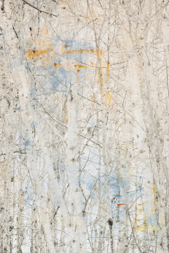 The Woods I by Deborah Revell