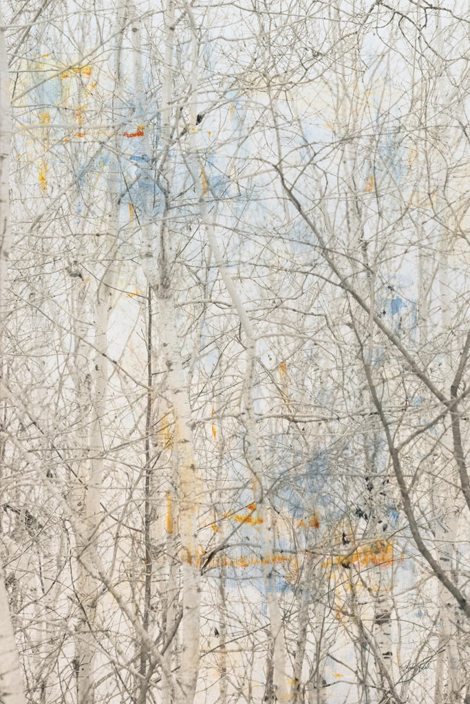 The Woods II by Deborah Revell