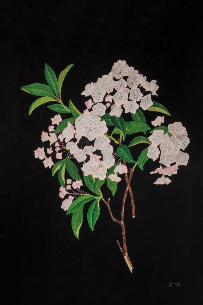 Thorndike by Deborah Revell. SKU 96573h. Archival Giclee Fine art print for wall decor.