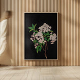 Thorndike by Deborah Revell. shown as over sized large wall art. Available as an archival giclee rolled canvas, fine art paper, or poster print. SKU 96573h.