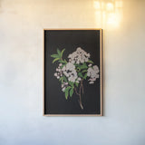 Thorndike by Deborah Revell. shown as a paper print in a natural frame. Available as a archival giclee rolled canvas, fine art paper, or poster print. SKU 96573h.