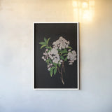 Thorndike by Deborah Revell. shown as a paper print in a white frame. Available as a archival giclee rolled canvas, fine art paper, or poster print. SKU 96573h.