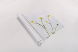 Three Buttercups by Deborah Revell. shown as a rolled paper print. Available as archival giclee rolled canvas, fine art paper, or poster print. SKU 93423h.