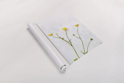 Three Buttercups by Deborah Revell. shown as a rolled paper print. Available as archival giclee rolled canvas, fine art paper, or poster print. SKU 93423h.