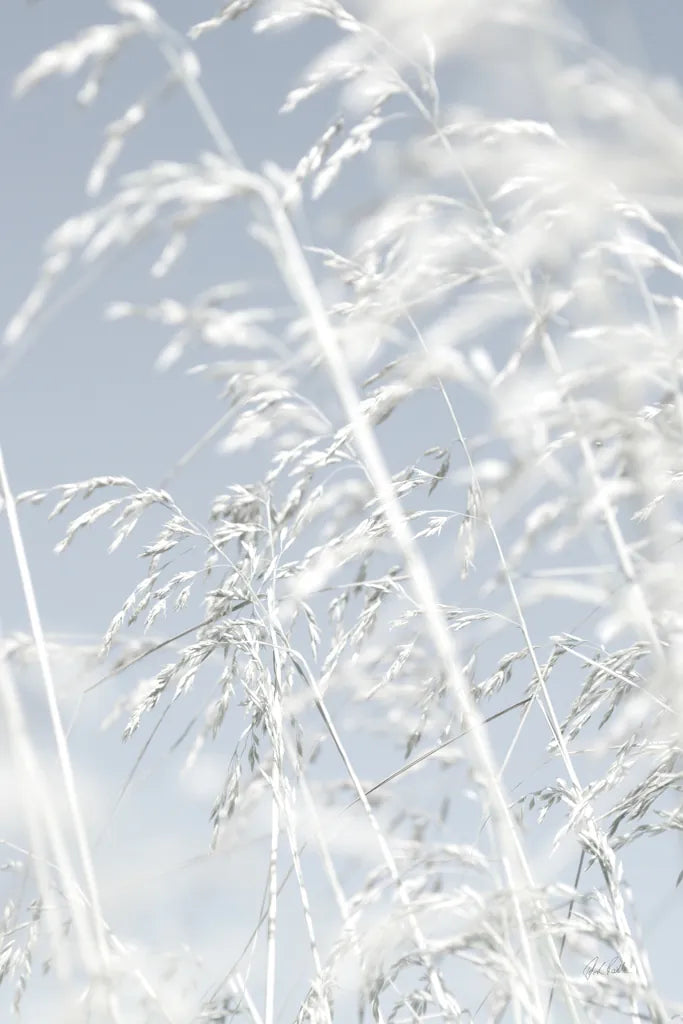 Through the Grass by Deborah Revell. SKU 98512h. Archival Giclee Fine art print for wall decor.