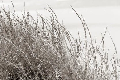 Tidegrass I by Deborah Revell. SKU 102086i. Archival Giclee Fine art print for wall decor.