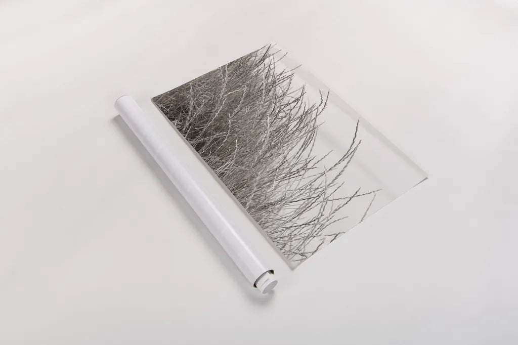 Tidegrass I by Deborah Revell. shown as a rolled paper print. Available as archival giclee rolled canvas, fine art paper, or poster print. SKU 102086i.