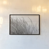 Tidegrass I by Deborah Revell. shown as a paper print in a black flame. Available as a archival giclee rolled canvas, fine art paper, or poster print. SKU 102086i.