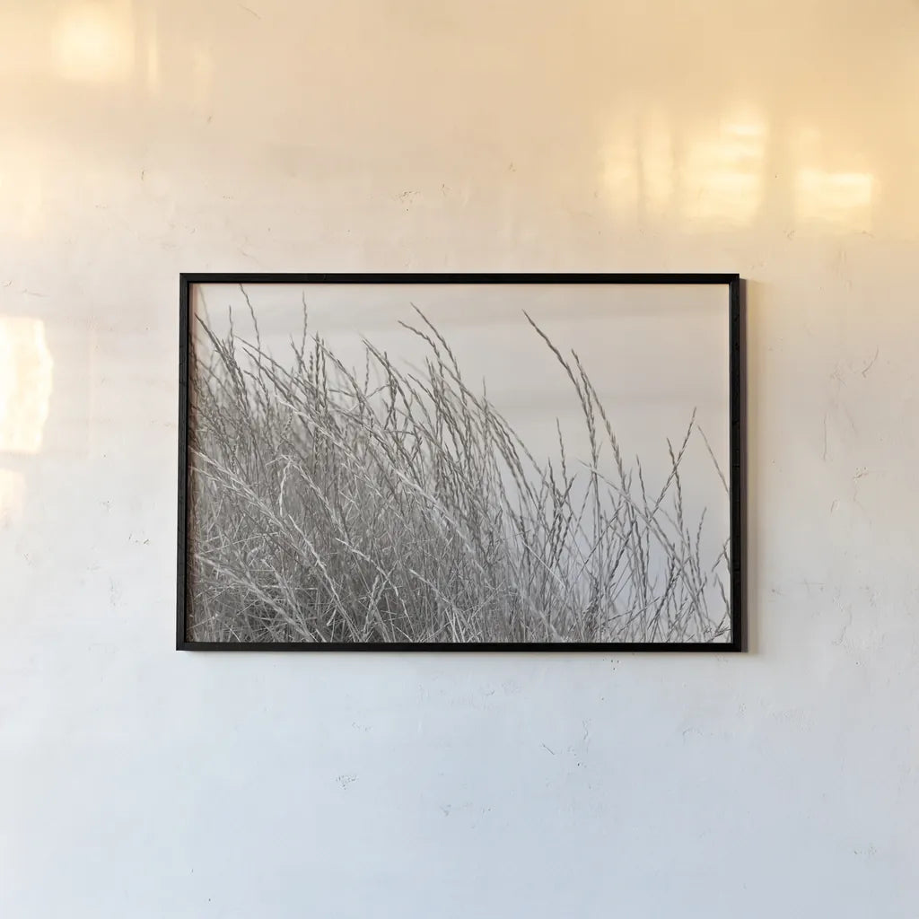 Tidegrass I by Deborah Revell. shown as a paper print in a black flame. Available as a archival giclee rolled canvas, fine art paper, or poster print. SKU 102086i.