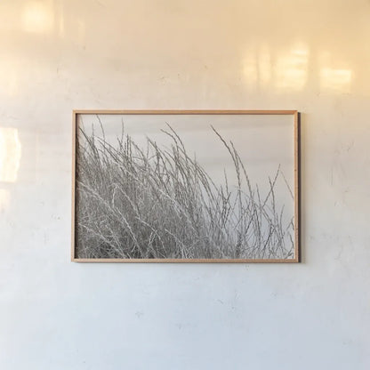 Tidegrass I by Deborah Revell. shown as a paper print in a natural frame. Available as a archival giclee rolled canvas, fine art paper, or poster print. SKU 102086i.
