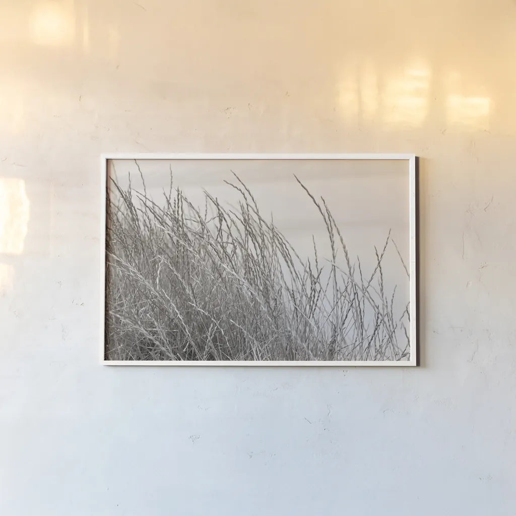 Tidegrass I by Deborah Revell. shown as a paper print in a white frame. Available as a archival giclee rolled canvas, fine art paper, or poster print. SKU 102086i.