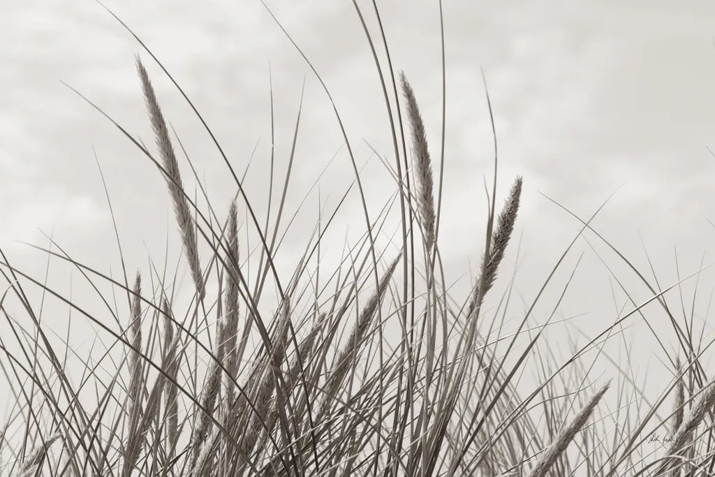 Tidegrass II by Deborah Revell. SKU 102087i. Archival Giclee Fine art print for wall decor.