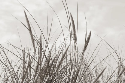 Tidegrass II by Deborah Revell. SKU 102087i. Archival Giclee Fine art print for wall decor.