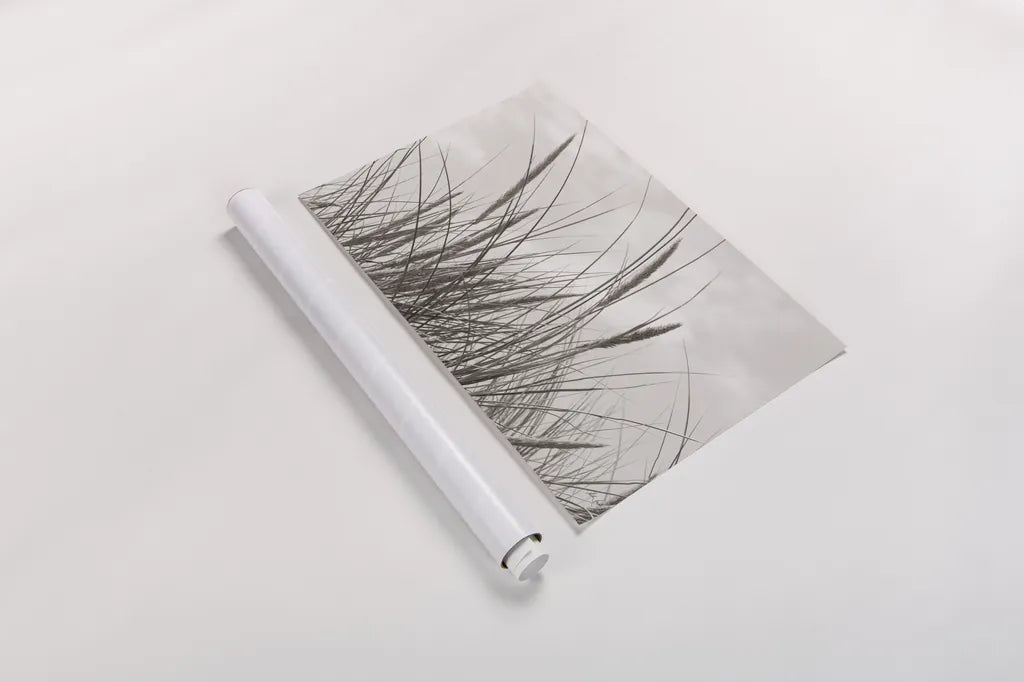 Tidegrass II by Deborah Revell. shown as a rolled paper print. Available as archival giclee rolled canvas, fine art paper, or poster print. SKU 102087i.