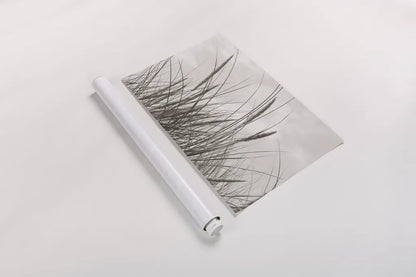 Tidegrass II by Deborah Revell. shown as a rolled paper print. Available as archival giclee rolled canvas, fine art paper, or poster print. SKU 102087i.