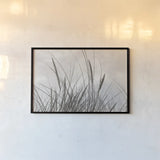 Tidegrass II by Deborah Revell. shown as a paper print in a black flame. Available as a archival giclee rolled canvas, fine art paper, or poster print. SKU 102087i.