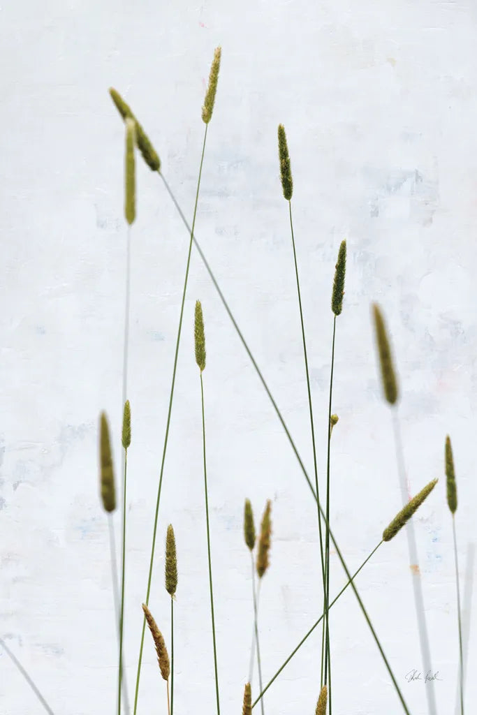 Timothy Grass by Deborah Revell. SKU 93433h. Archival Giclee Fine art print for wall decor.