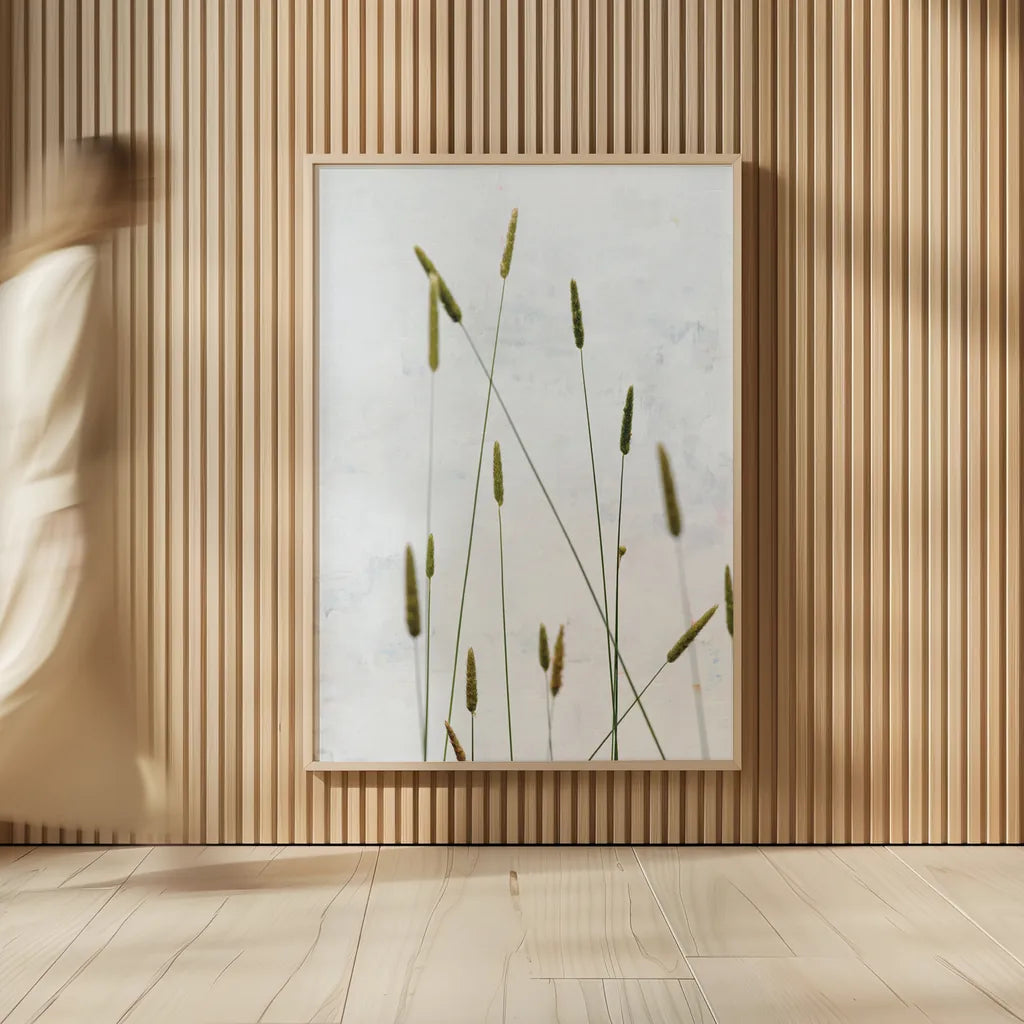 Timothy Grass by Deborah Revell. shown as over sized large wall art. Available as an archival giclee rolled canvas, fine art paper, or poster print. SKU 93433h.