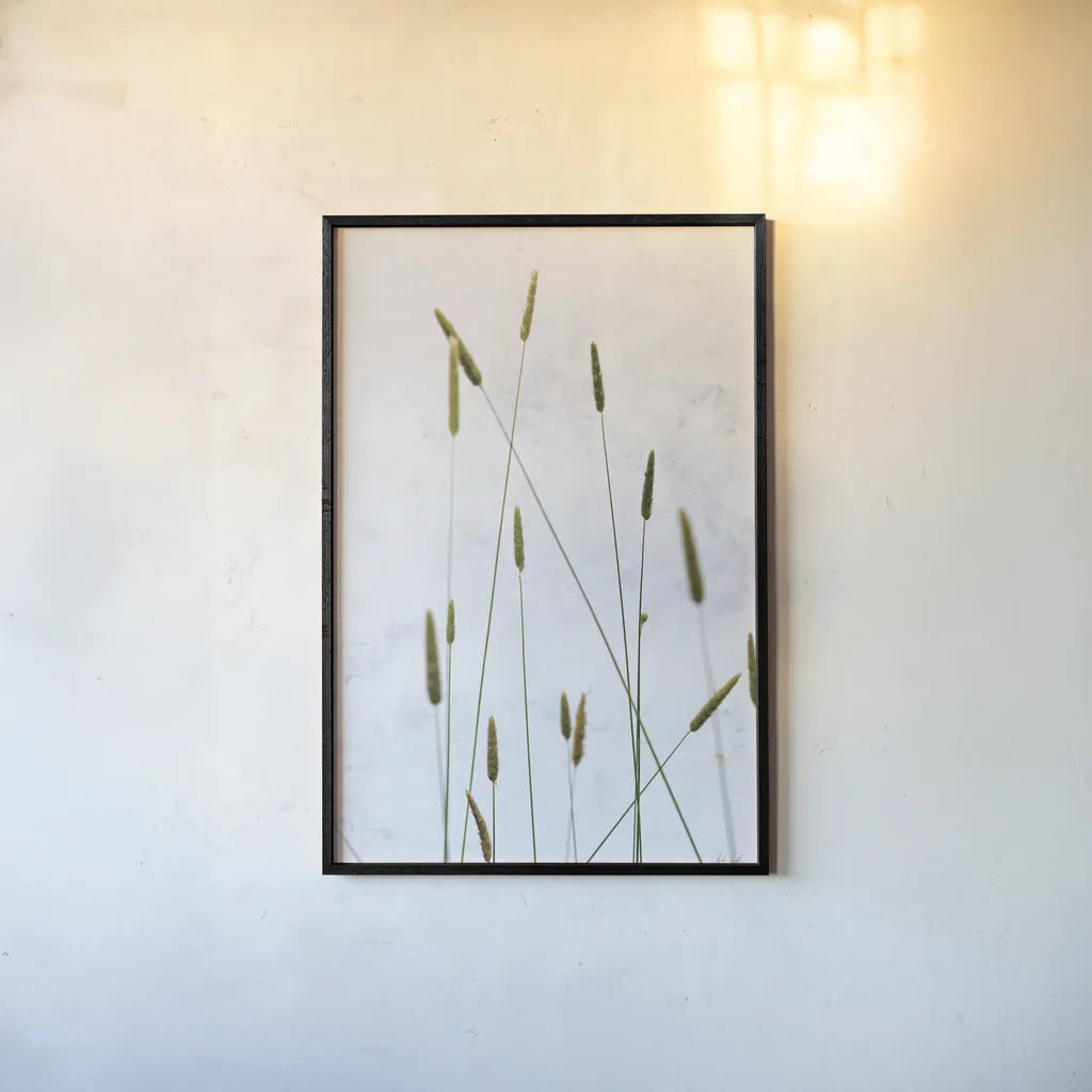 Timothy Grass by Deborah Revell. shown as a paper print in a black flame. Available as a archival giclee rolled canvas, fine art paper, or poster print. SKU 93433h.
