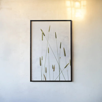 Timothy Grass by Deborah Revell. shown as a paper print in a black flame. Available as a archival giclee rolled canvas, fine art paper, or poster print. SKU 93433h.