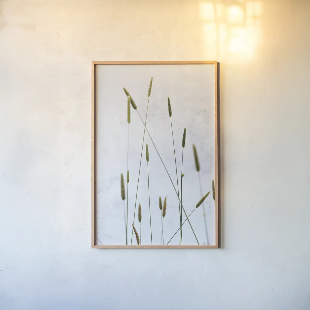 Timothy Grass by Deborah Revell. shown as a paper print in a natural frame. Available as a archival giclee rolled canvas, fine art paper, or poster print. SKU 93433h.