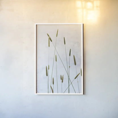 Timothy Grass by Deborah Revell. shown as a paper print in a white frame. Available as a archival giclee rolled canvas, fine art paper, or poster print. SKU 93433h.
