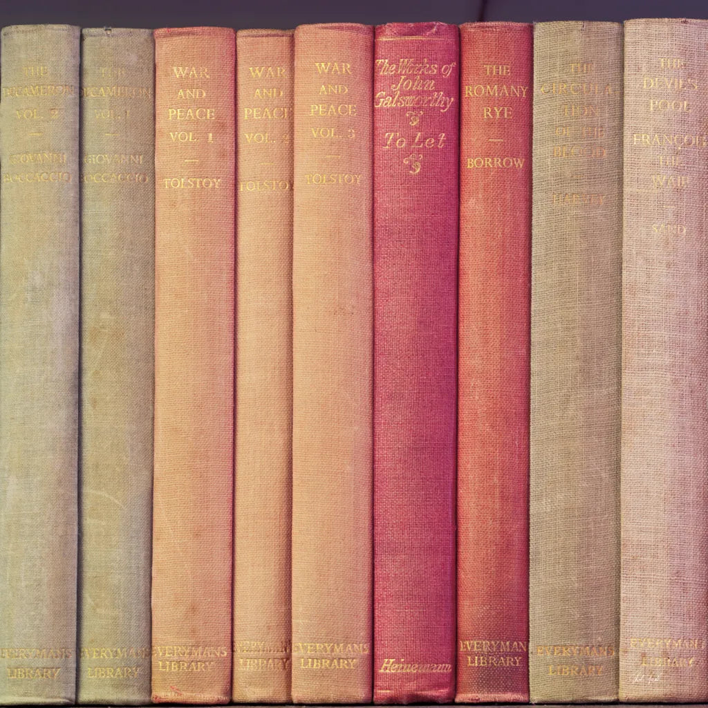 Tolstoy by Deborah Revell. SKU 96925a. Archival Giclee Fine art print for wall decor.