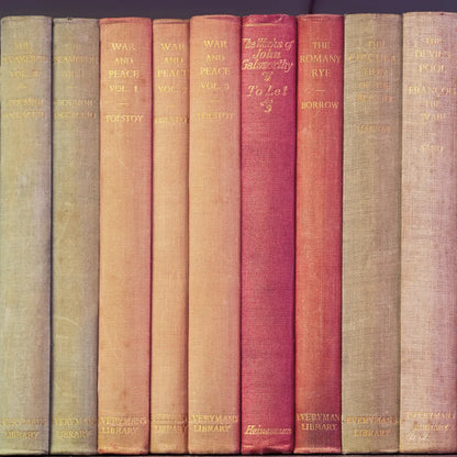 Tolstoy by Deborah Revell. SKU 96925a. Archival Giclee Fine art print for wall decor.