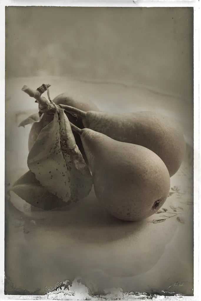 Trois Poires I by Deborah Revell. SKU 104250h. Archival Giclee Fine art print for wall decor.