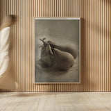 Trois Poires I by Deborah Revell. shown as over sized large wall art. Available as an archival giclee rolled canvas, fine art paper, or poster print. SKU 104250h.