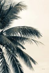 Tropical Palm I by Deborah Revell. SKU 104962h. Archival Giclee Fine art print for wall decor.